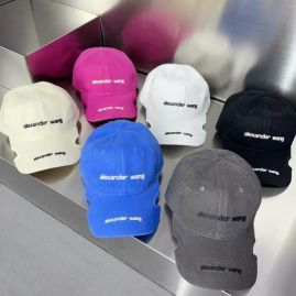 Picture of Alexander Wang Cap _SKUAlexanderWangCapdxn0516